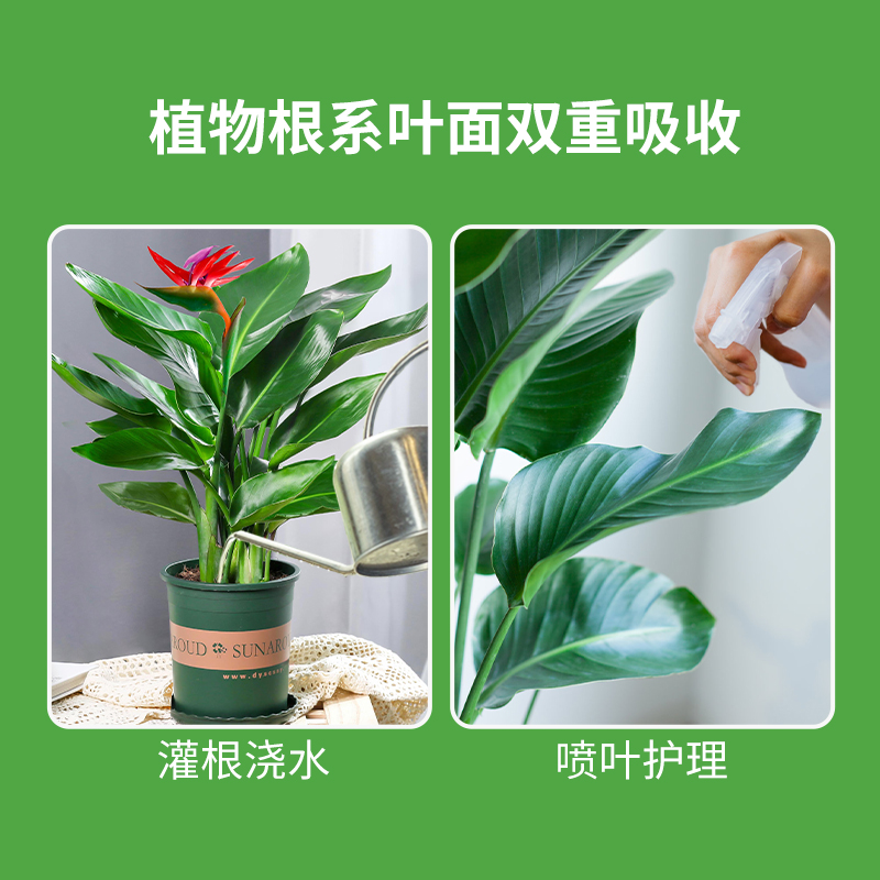 绿多多植物营养液绿植通用型发财树