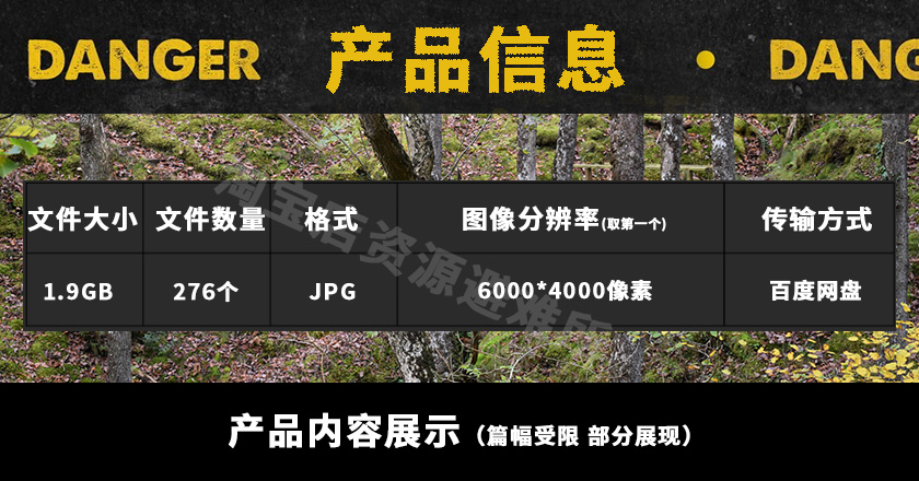 250张威尔士古代森林植被超清摄影照片真实地理环境场景建模绘画-图0