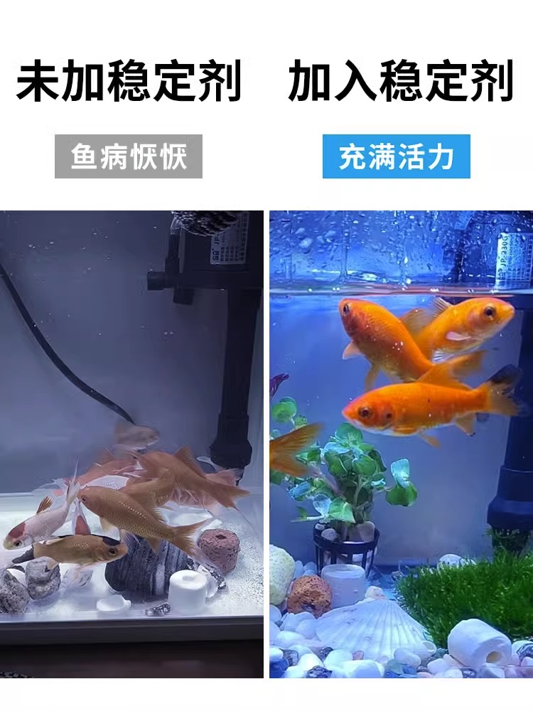 森森水质稳定剂硝化细菌水族箱养鱼硝化护理药水鱼缸不伤鱼净水剂 - 图3