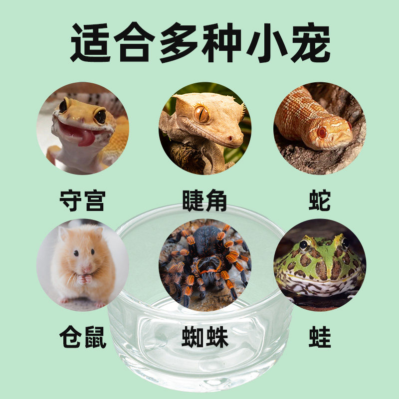 爬虫无菌玻璃水杯果泥食盆蛇守宫蛙睫角鬃狮蜥仓鼠蜘蛛加湿水盆,淘宝优惠券,粉丝福利购,淘宝优惠卷