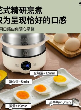 304不锈钢预约断电蒸蛋器