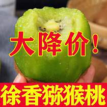 (Shunfeng) Shaanxi Eyebrow County Xu Fragrant Great Fruit Chic Exotic Fruit Green Heart Kiwifruit Fresh Gift Gift Box Dress