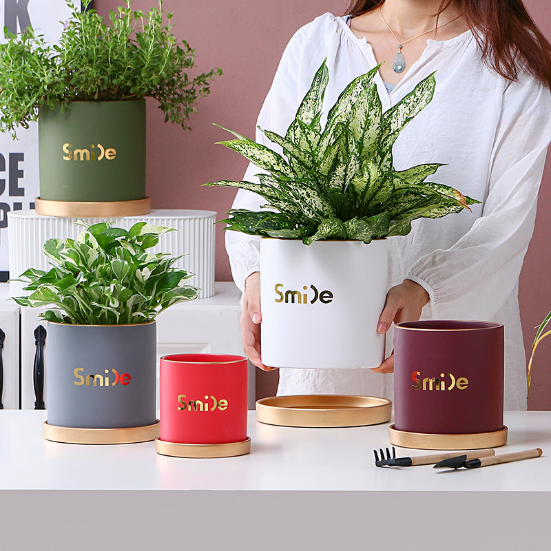 陶瓷花盆现代简约时尚有孔配托盘办公室室内桌面绿植多肉小号容器,淘宝优惠券,粉丝福利购,淘宝优惠卷