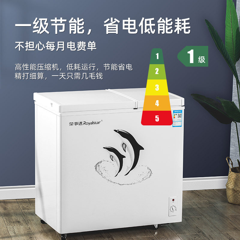 荣事达双温双门家用冷冻保鲜冰柜 荣事达淞淋冷柜