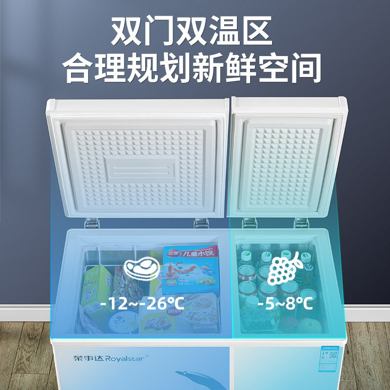 荣事达双温双门家用冷冻保鲜冰柜 荣事达淞淋冷柜