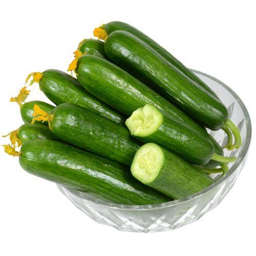 正宗荷兰水果黄瓜新鲜小黄瓜5斤现摘小青瓜蔬菜农家10山东旱生吃 - 图3