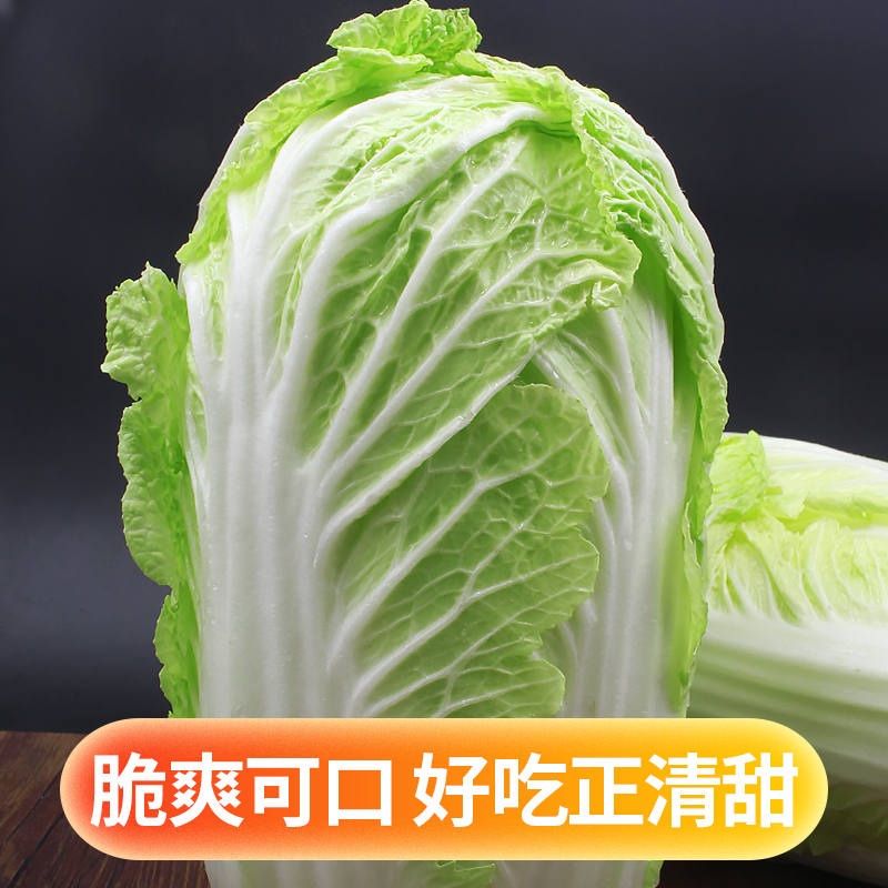 东北农家翡翠大白菜5斤新鲜蔬菜大白菜火锅蔬菜农家自种胶东包邮-图3