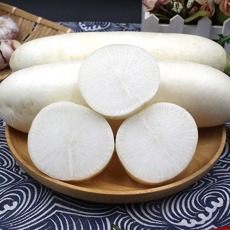 正宗东北长白山现挖水果白萝卜装新鲜蔬菜农家辛辣甜白罗卜 - 图1