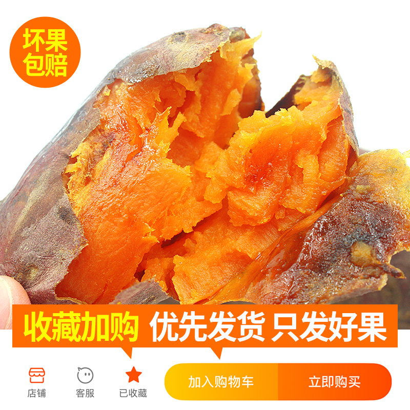 正宗农家新鲜地瓜沙地番薯板栗红薯红心蜜薯粉糯自种山芋西瓜 - 图0