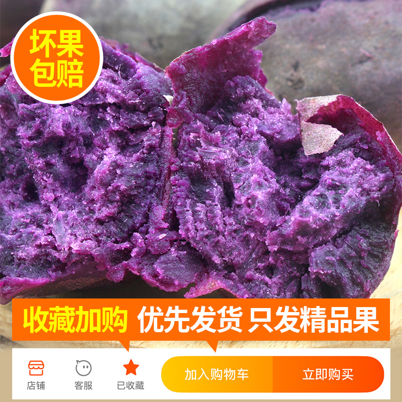 云南紫薯10斤新鲜板栗红薯番薯地瓜蜜薯山芋烟薯蔬菜农家自种包邮 - 图0