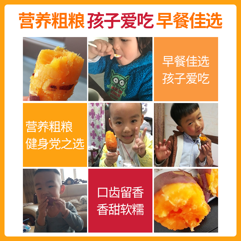 正宗农家新鲜地瓜沙地番薯板栗红薯红心蜜薯粉糯自种山芋西瓜 - 图2