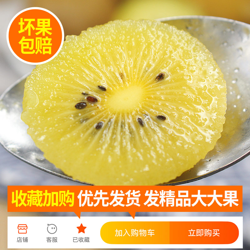  果乡趣奇异果/猕猴桃