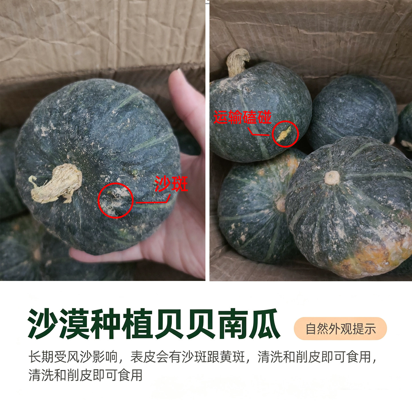 宁夏内蒙沙漠鲜甜糯板栗贝贝小南瓜宝宝辅食日本新鲜栗面粉糯老瓜