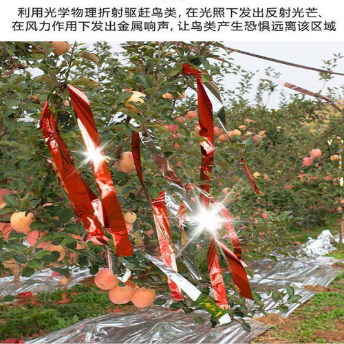 驱鸟彩带庄稼保护神器驱鸟专用果园大田反光爆闪剂农田苗驱鸟器 - 图1