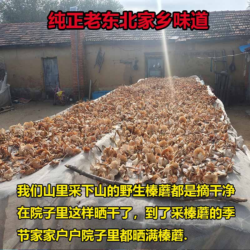 2025榛蘑东北野生蘑菇丁干货黑龙江特产山珍小鸡炖香菇头无根新货 - 图0