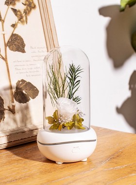 Creative Preserved Flower Fragrance Lamp Aroma Diffuser Port