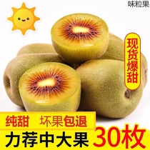 Red Star 7 Chic Exotic Fruit Chic Exotic Fruit Fresh Chic Fruits Red Heart Sichuan Big Fruit Extra