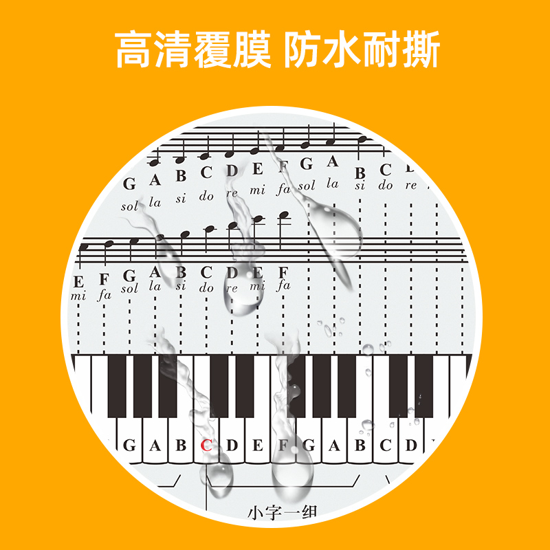 钢琴初学者家用五线谱挂图音符对照表大普表与钢琴键盘图纸贴纸 - 图0