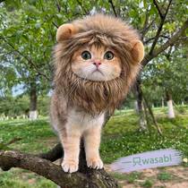 (glutinous rice home) kitty lion head set of sand sculpted ear small dog hat pet cute accessories head decorated with more than a bear