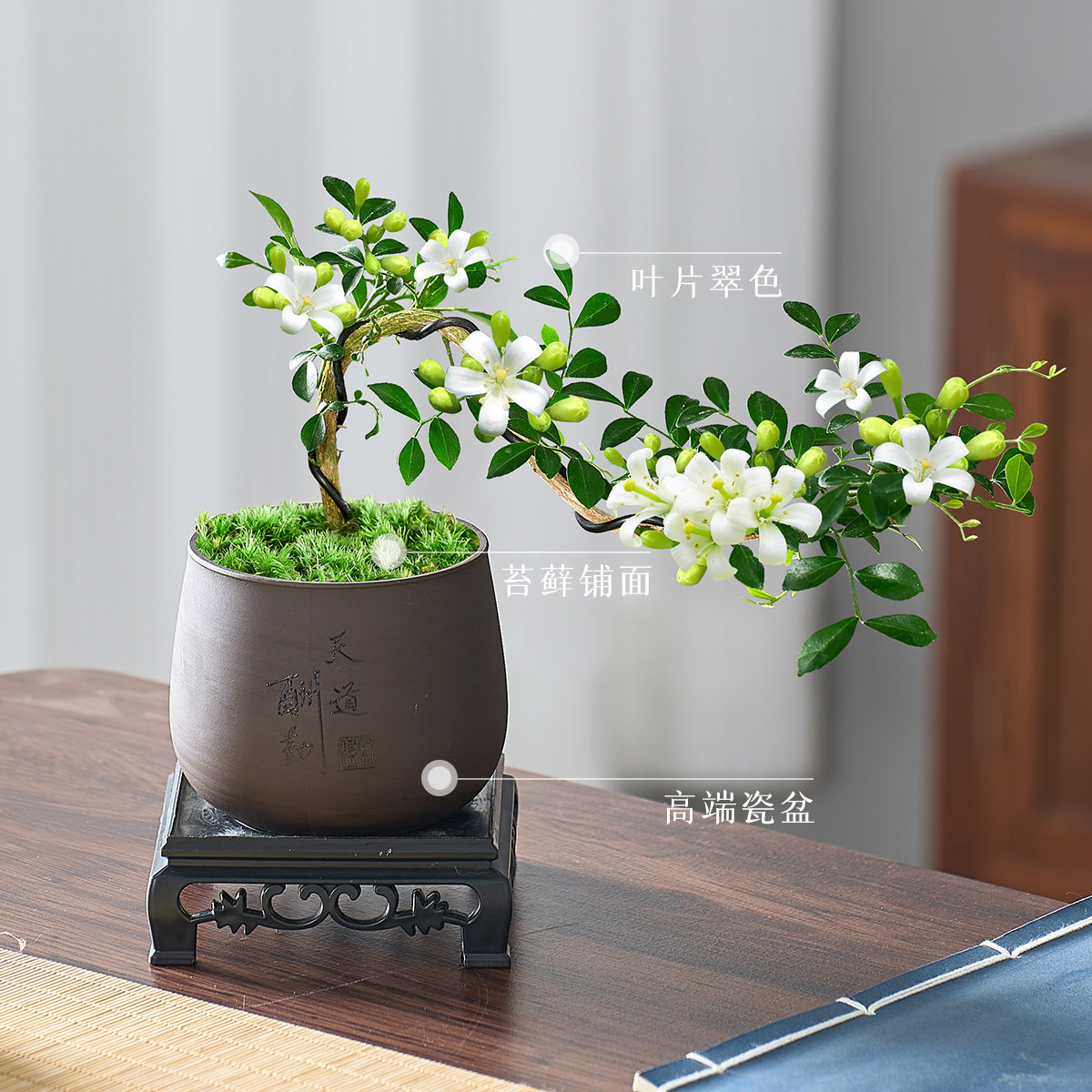 飘枝小叶九里香盆栽悬崖造型盆景室内茶几玄关绿植易活花卉小植物,淘宝优惠券,粉丝福利购,淘宝优惠卷