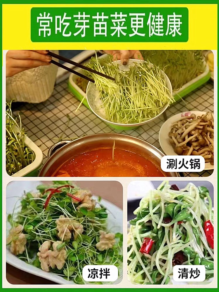 芽苗菜种子组合豆芽菜种籽豌豆萝卜空心菜小麦苗四季水培蔬菜种孑 - 图3