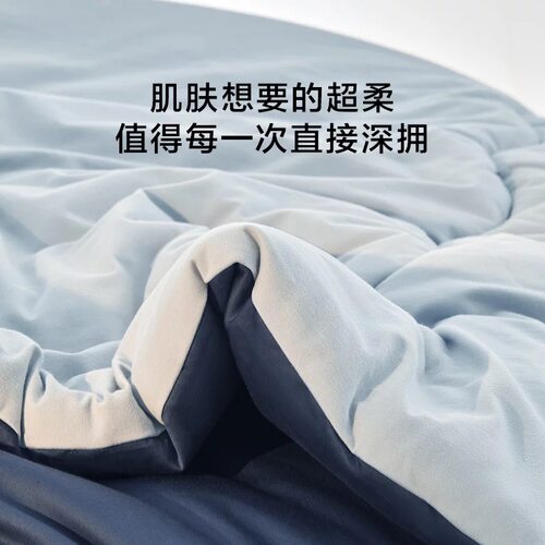 亚之朵星级酒店同款被子星球被pro2夏凉被子母被四季可机洗空调被 - 图0