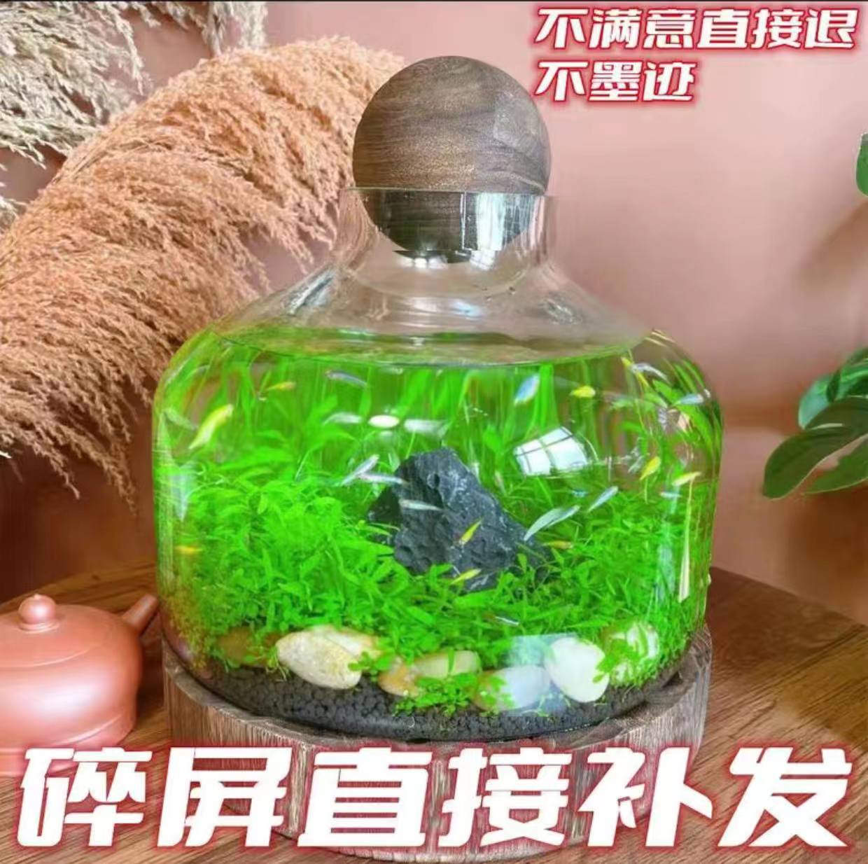 微景观生态瓶鱼缸日式高级自循环水培绿植鱼虾桌面创意造景免换水 - 图2