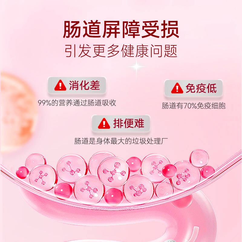 澳洲蔓薇西梅益生元果蔬粉清便润肠调理肠胃排便孕妇酵素益生菌