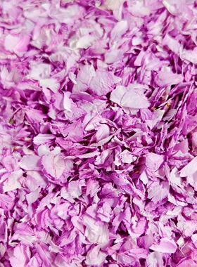 关山樱花花瓣  干净樱花瓣 纯花瓣 非盐渍樱花无糖樱花农产品散装
