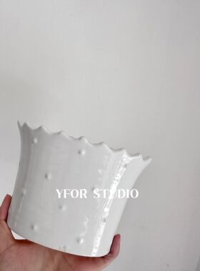 【YFOR】白色点点皇冠花边蝴蝶兰多肉种球出口外贸水培陶瓷花盆