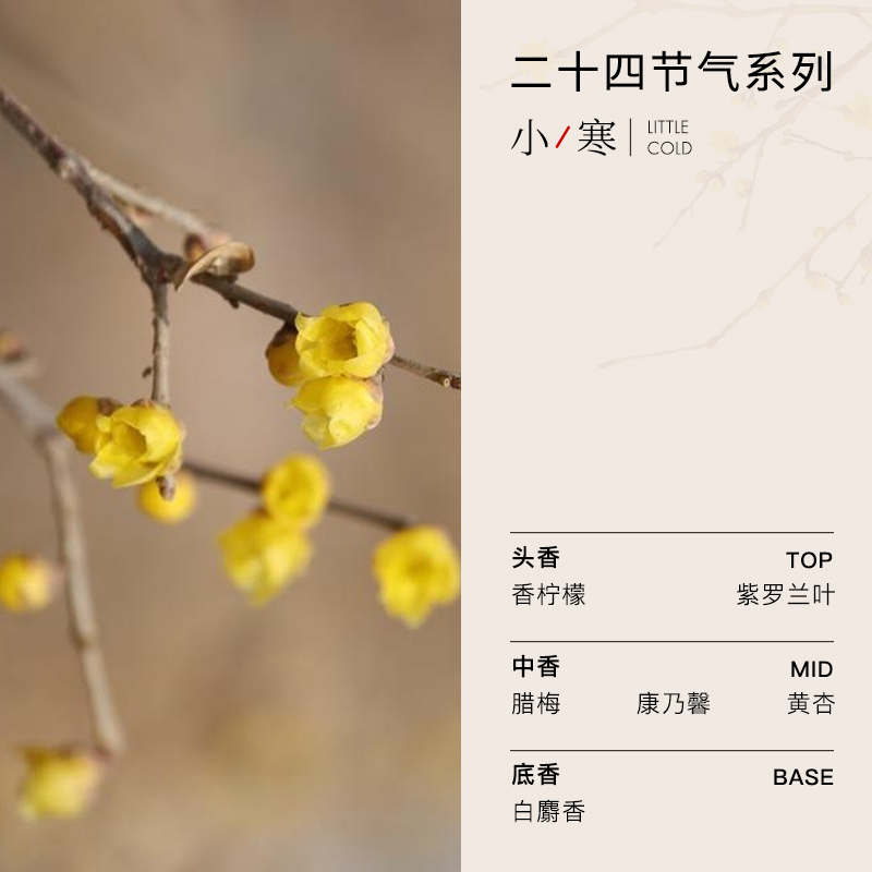 空白24节气「冬季」香水立冬男士小寒腊梅花味冬至香持久小众淡香