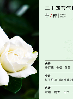 空白24节气香水夏季系列栀子茉莉