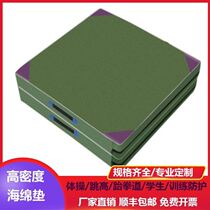 Jump High Mat Martial Arts Sponge Cushion Gymnastics Mat Trainer Material Protective Mat Outdoor Airflap Sports Mat Rock Climbing Student