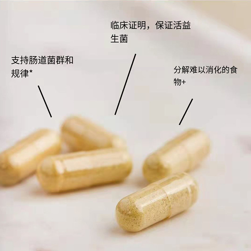 zenwise成人消化酶大人养胃益生菌 Zenwise海外益生菌