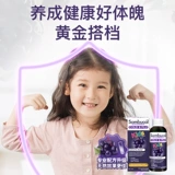 Австралия Sambucol Shanbeikang Fruit Fruit Black Fruit Conewood Дети VC Витамин C Цинк Сирод 120 мл