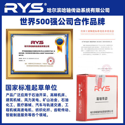 RYS 不锈钢轴承 6206 6207 6208 6209 6210 6211 ZZ 440 304材质 - 图3