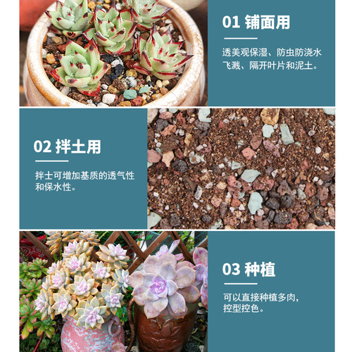 颗粒土铺面石多肉土壤有机营养土包邮种植土通用型花肥兰花专用土 - 图0