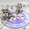 AikeDear pet custom carpet birthday gift
