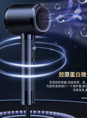 德国电吹风机家用发廊理发店专用