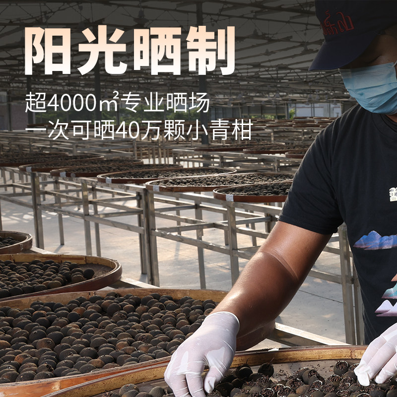 勐乐山2021新会生晒小青柑普洱茶天然养身茶商务礼品茶200g柑普茶,淘宝优惠券,粉丝福利购,淘宝优惠卷