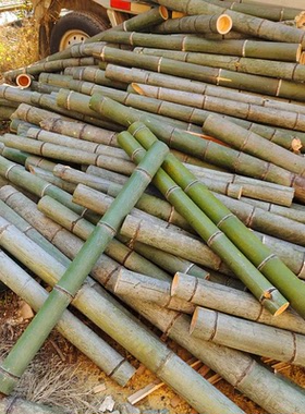 新鲜毛竹楠竹原料定制