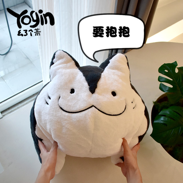 Yogin got a jingray cat plush toy