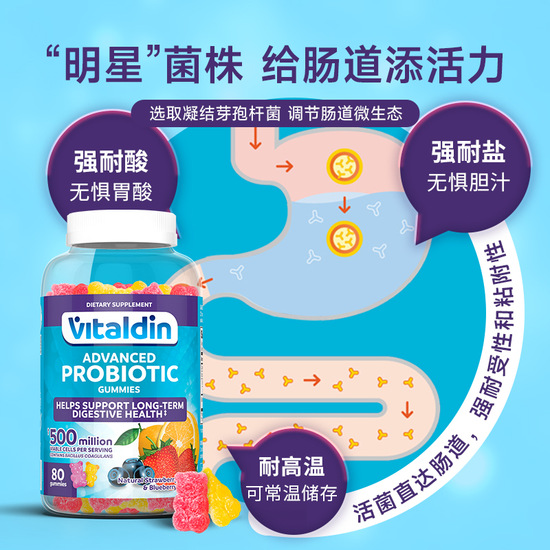 Vitaldin益生菌酵母软糖调理肠胃大人儿童活性菌营养助肠道消化 - 图0