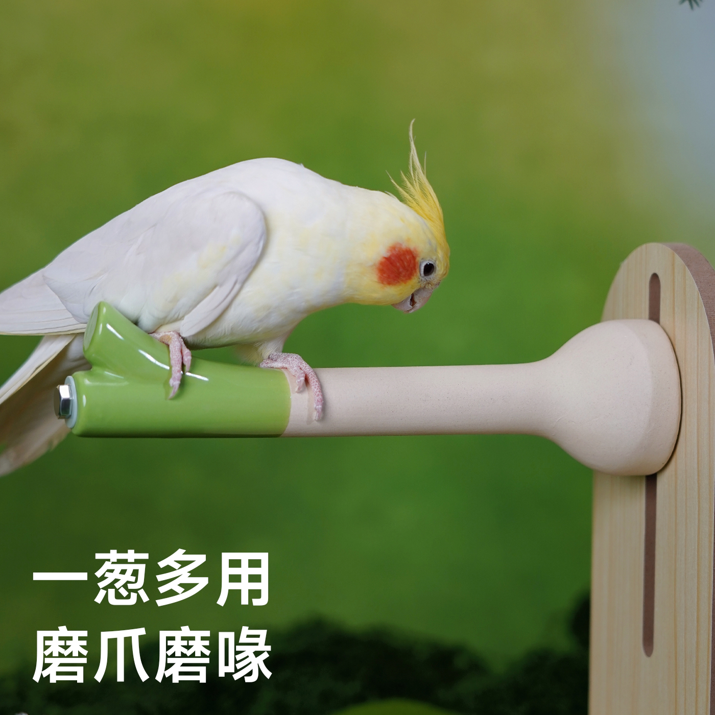 图4