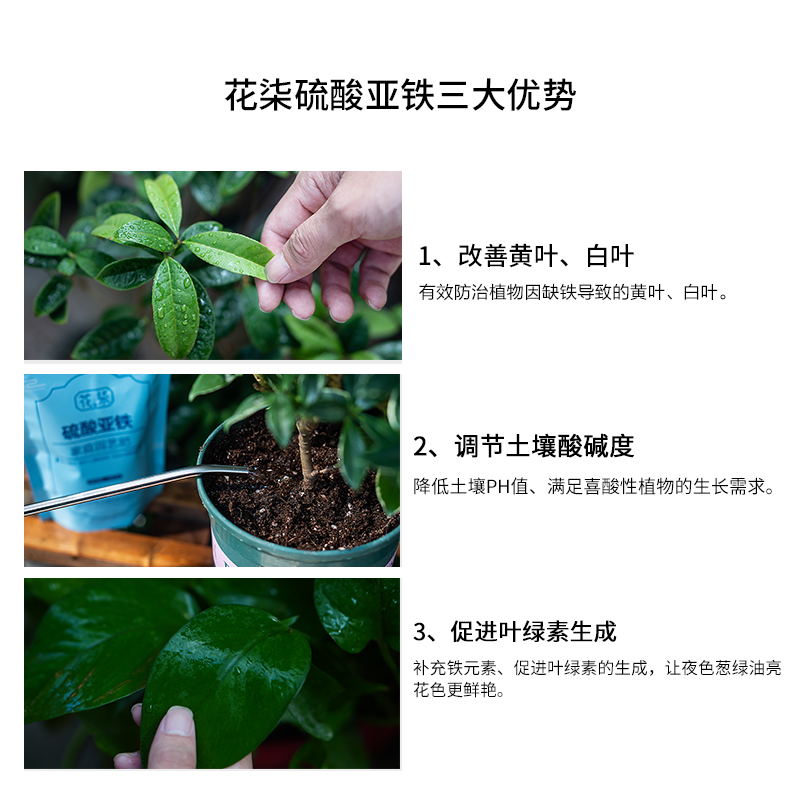 花柒 硫酸亚铁花肥料花用养花颗粒通用茉莉杜鹃栀子花专用肥铁肥 - 图2