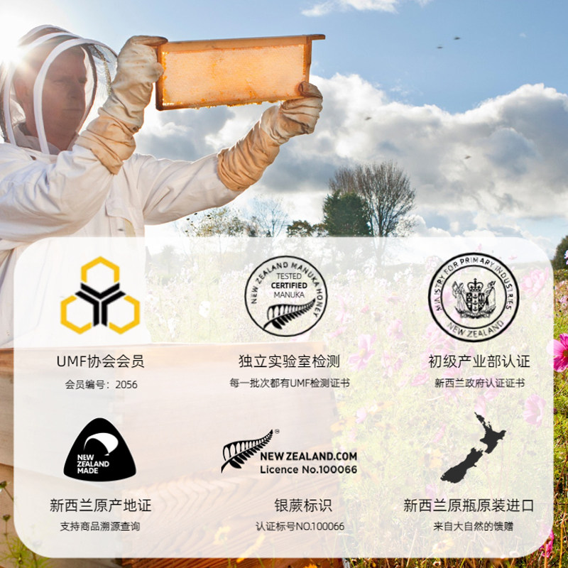 新西兰麦卢卡便携24片小包纯正蜂蜜 vitabeez蜂蜜