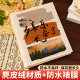 Two guys vertical album large capacity interstitial 6 inches