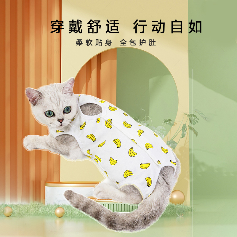 猫咪绝育服母猫手术服衣服透气戒奶服断奶服公猫术后防舔宠物猫猫-图1