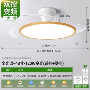 波西米亚餐厅风扇灯2026新款超薄色护眼主卧室灯吊扇吸顶灯具原木