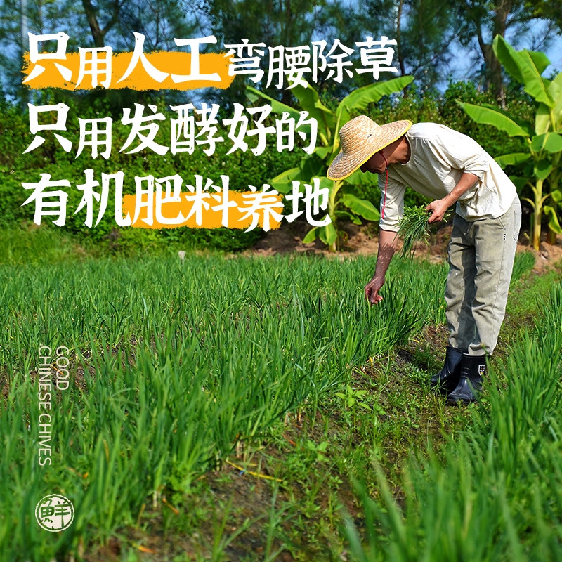 小黄象韭菜鸡蛋虾仁三鲜馅饼儿童早餐速食半成品营养冷冻煎饼馅饼,淘宝优惠券,粉丝福利购,淘宝优惠卷